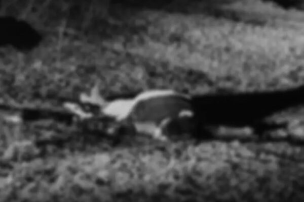 Sangareddy Murder Case