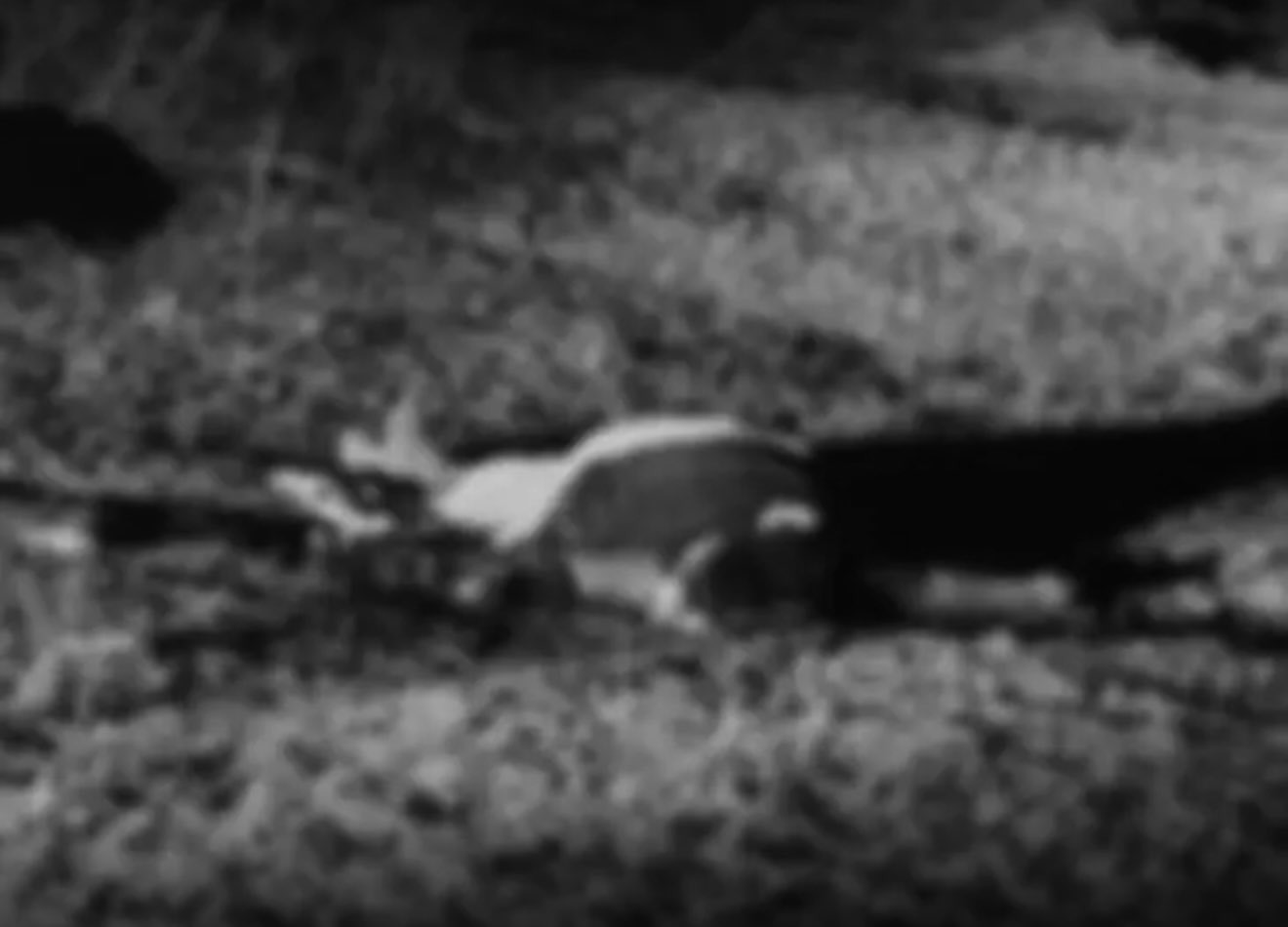 Sangareddy Murder Case
